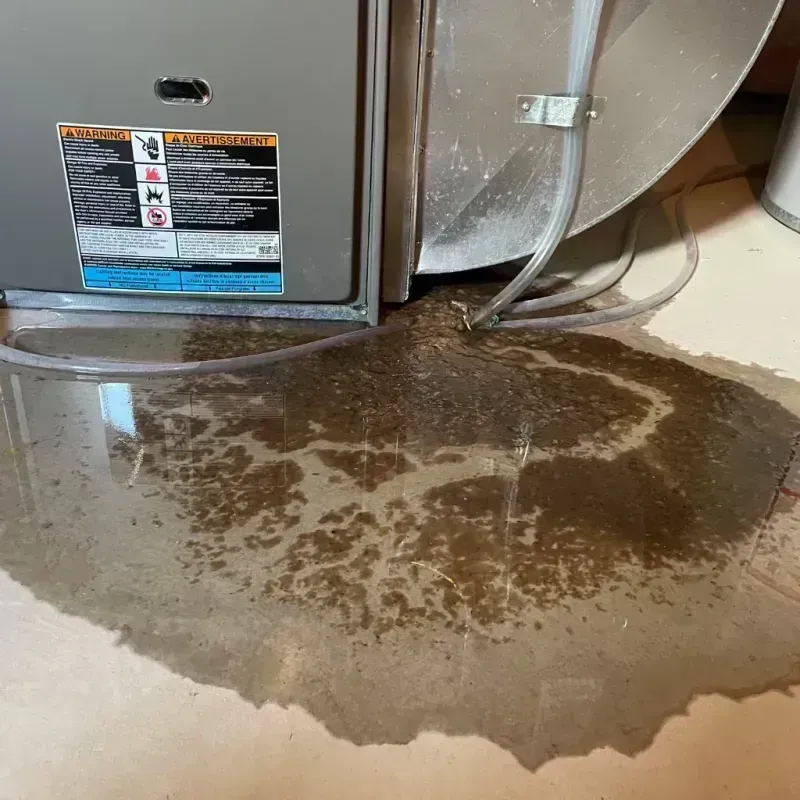 Appliance Leak Cleanup in Little Rock, MN